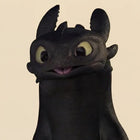 Shelf Dragon