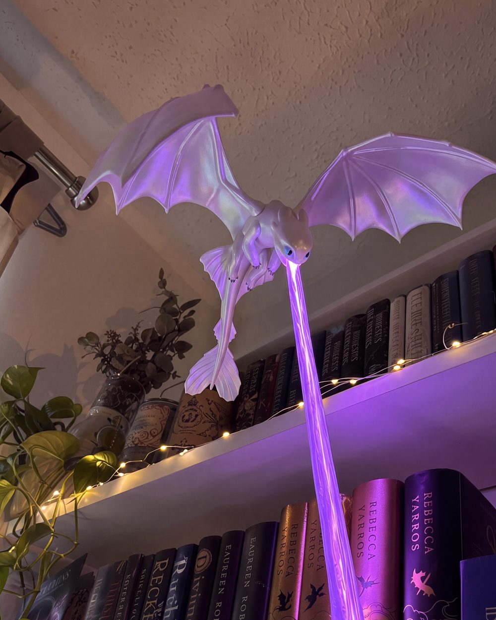 Luna lit violet across two shelves