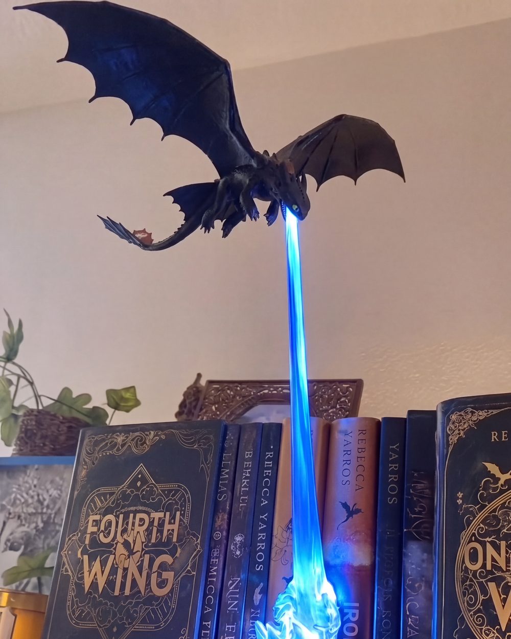 Toothless over a row of hardbacks